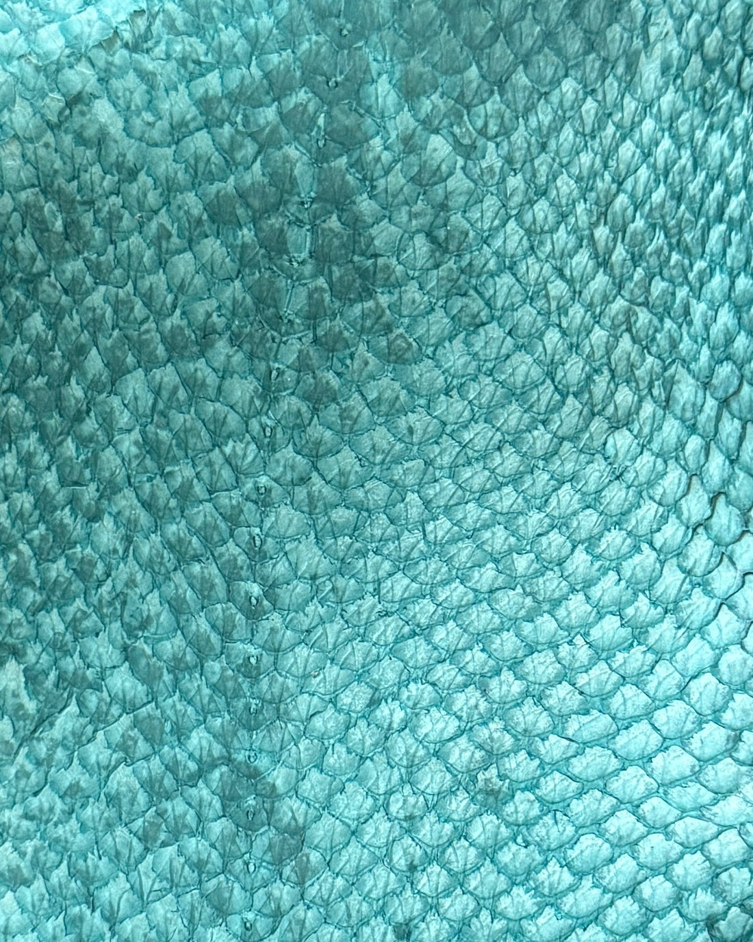 La couleur chez Fémer: maîtriser la teinte, respecter la matière