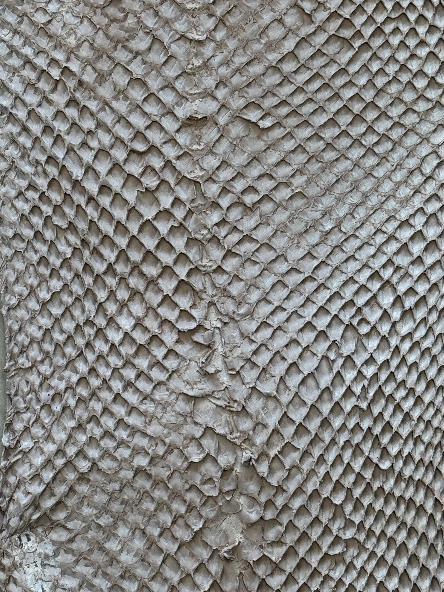 Cuir de saumon- Teintes soleil couchant