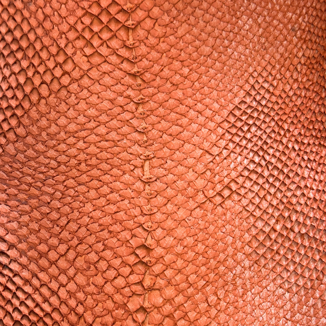Cuir de saumon- Teintes soleil couchant