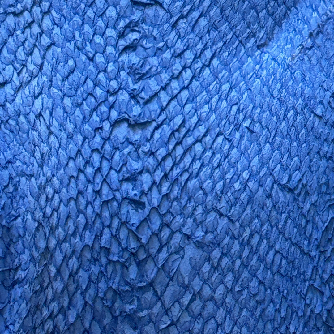Cuir de truite Souffle Marin- Teintes océanes